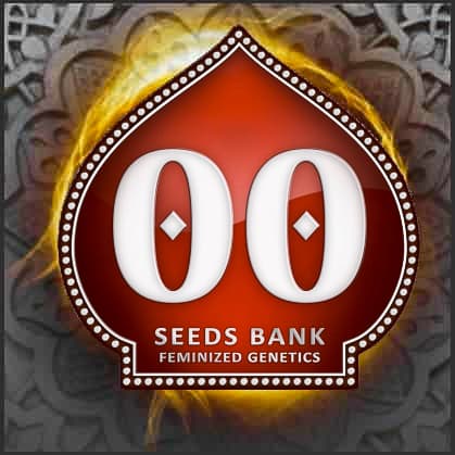 00 Seeds Bank
